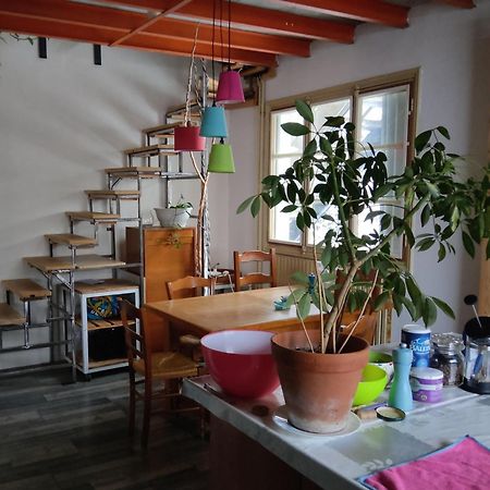 Chambres Des Aubepines - Zenith Orléans Esterno foto